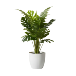 Artificial Mini Monstera Plant